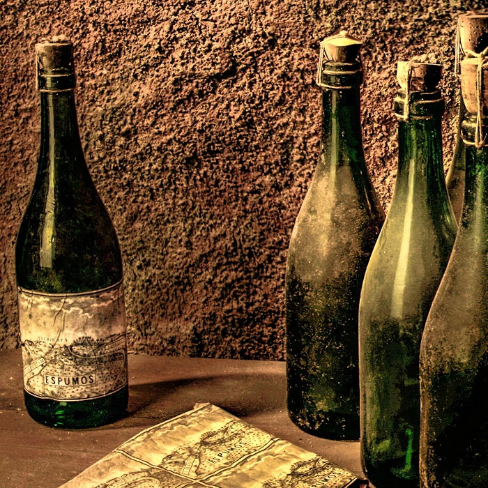 Historic sparkling wine bottles in the Llopart underground cellar