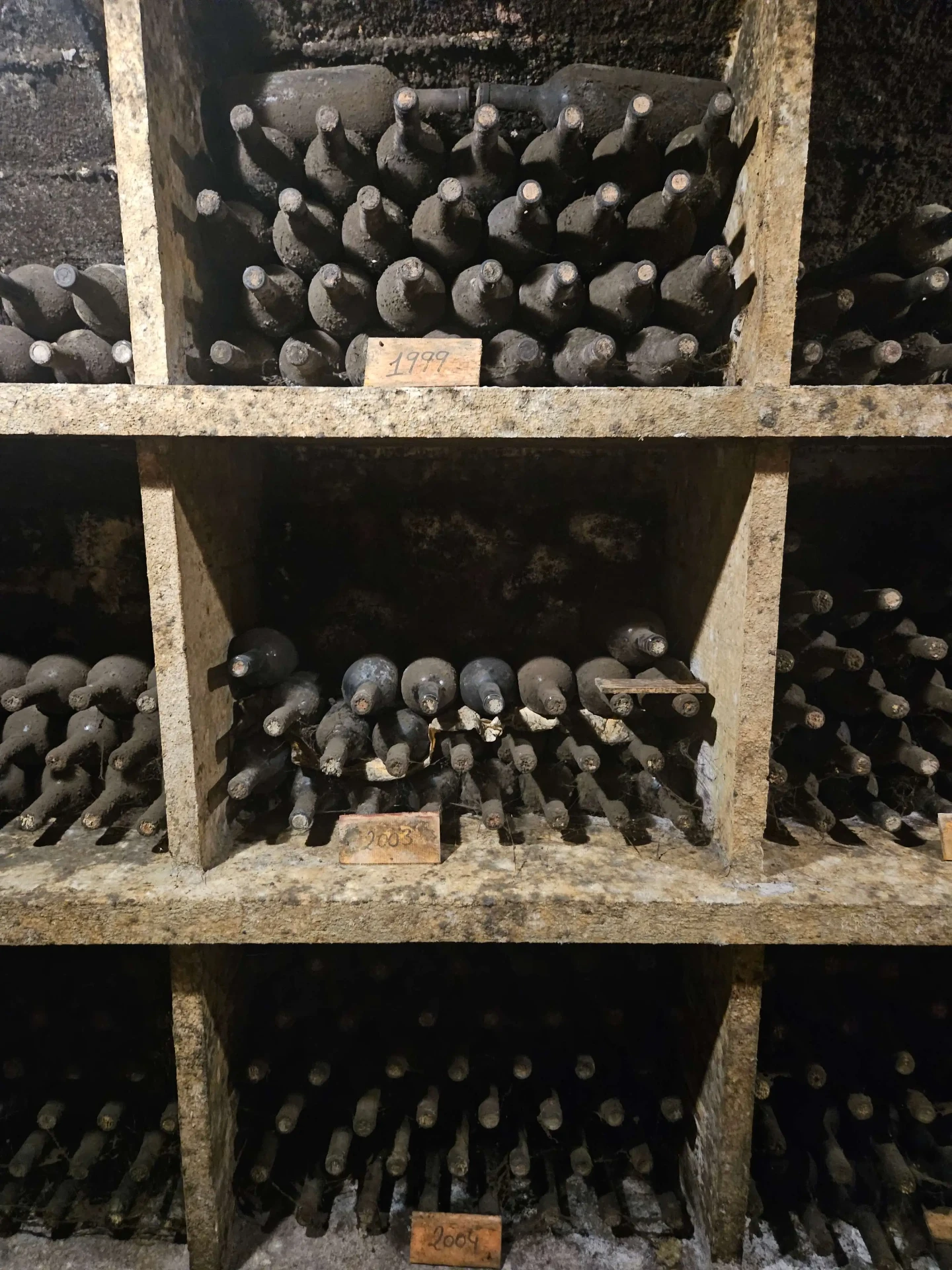Old Priorat wine bottles resting in a stone cellar