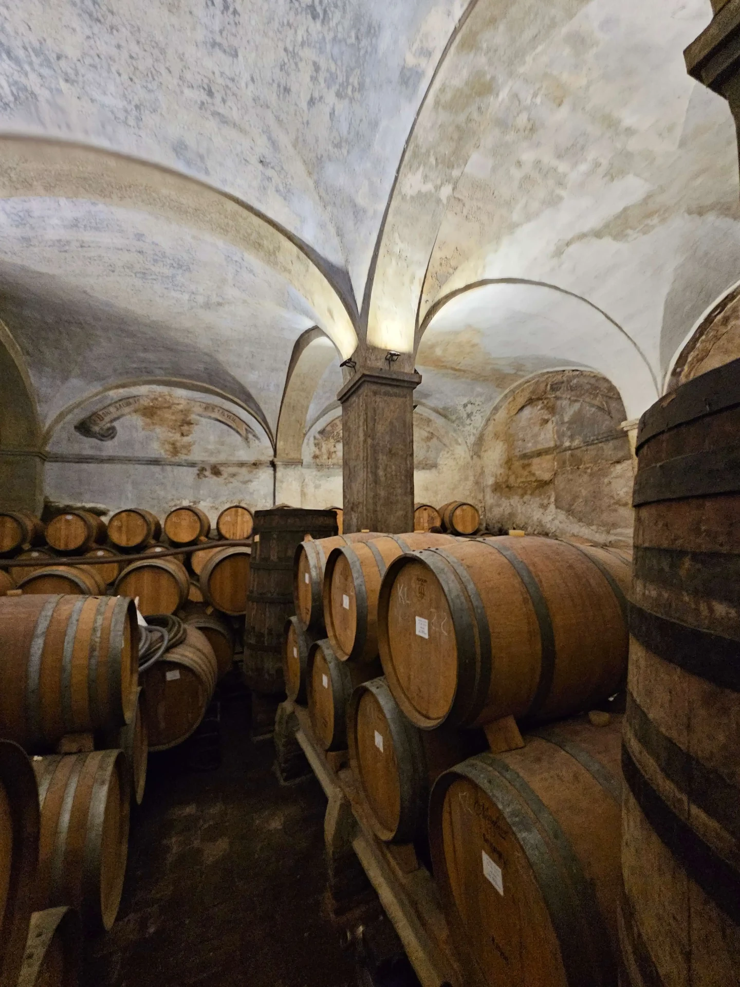 Vaulted stone cellar at Cal Pla in Porrera, Priorat