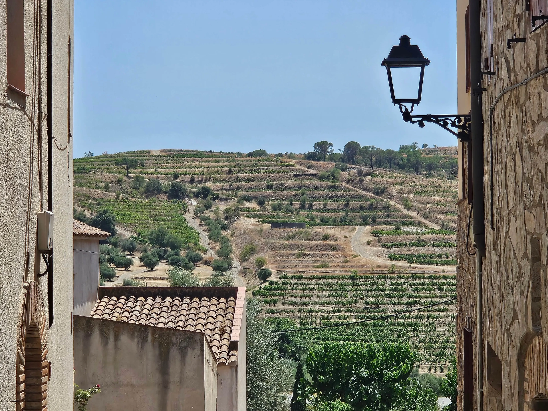 Terraced vineyards above the village of Gratallops in Priorat