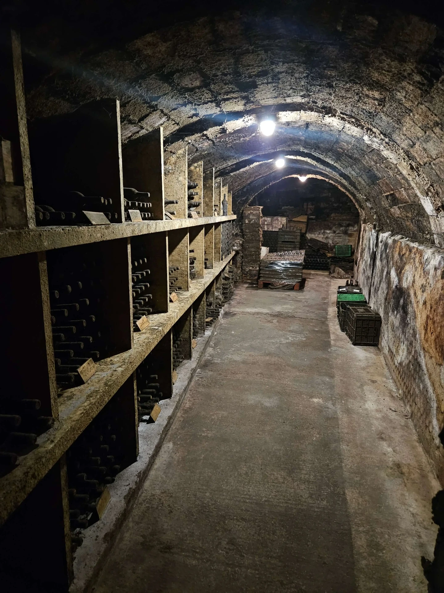 Long underground cellar tunnel at Cal Pla lined with aged Priorat bottles