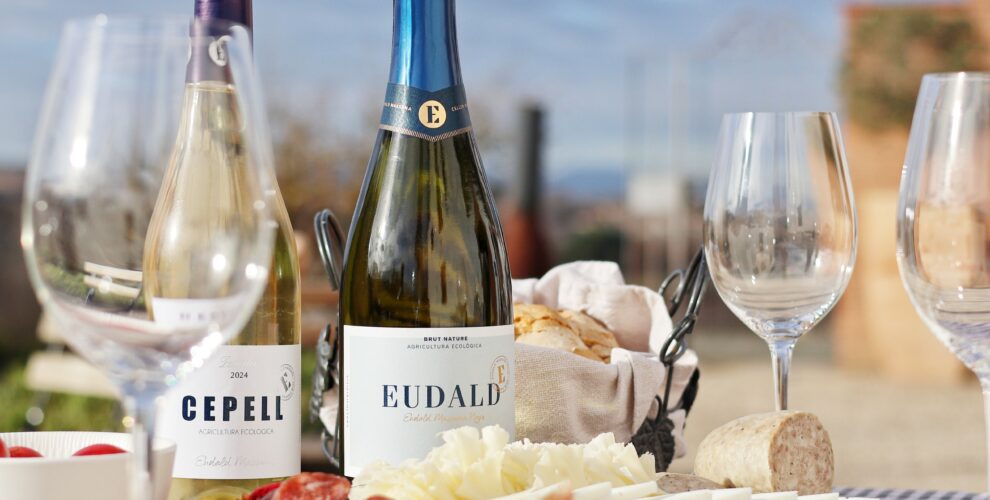 Eudald Massana organic cava and wine tasting with charcuterie and Penedès views near Barcelona