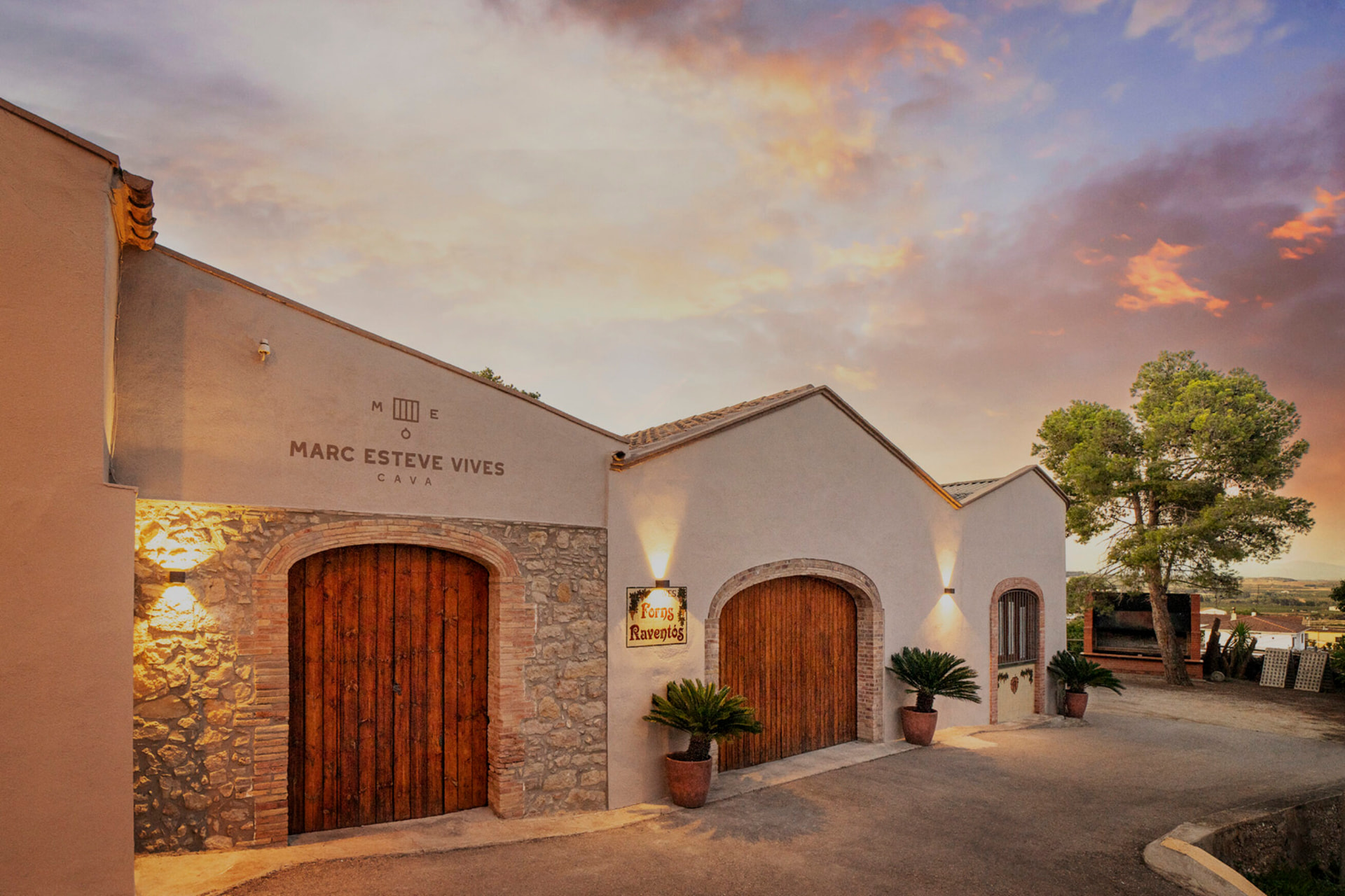 Marc Esteve Vives family cava winery at sunset in the Penedès