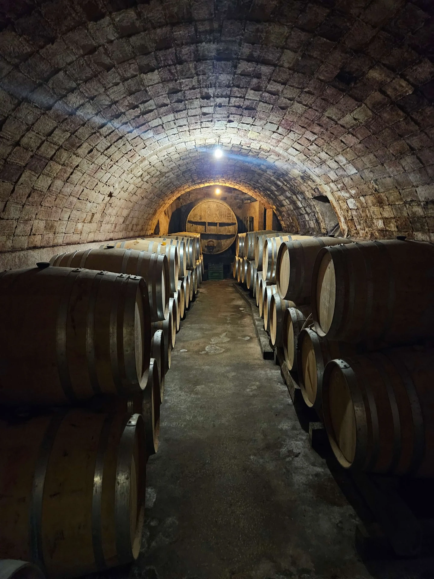 Vaulted barrel cellar in a family-owned Priorat winery