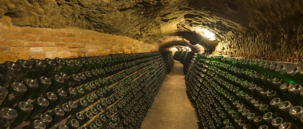 Long underground tunnel lined with racks of ageing cava bottles