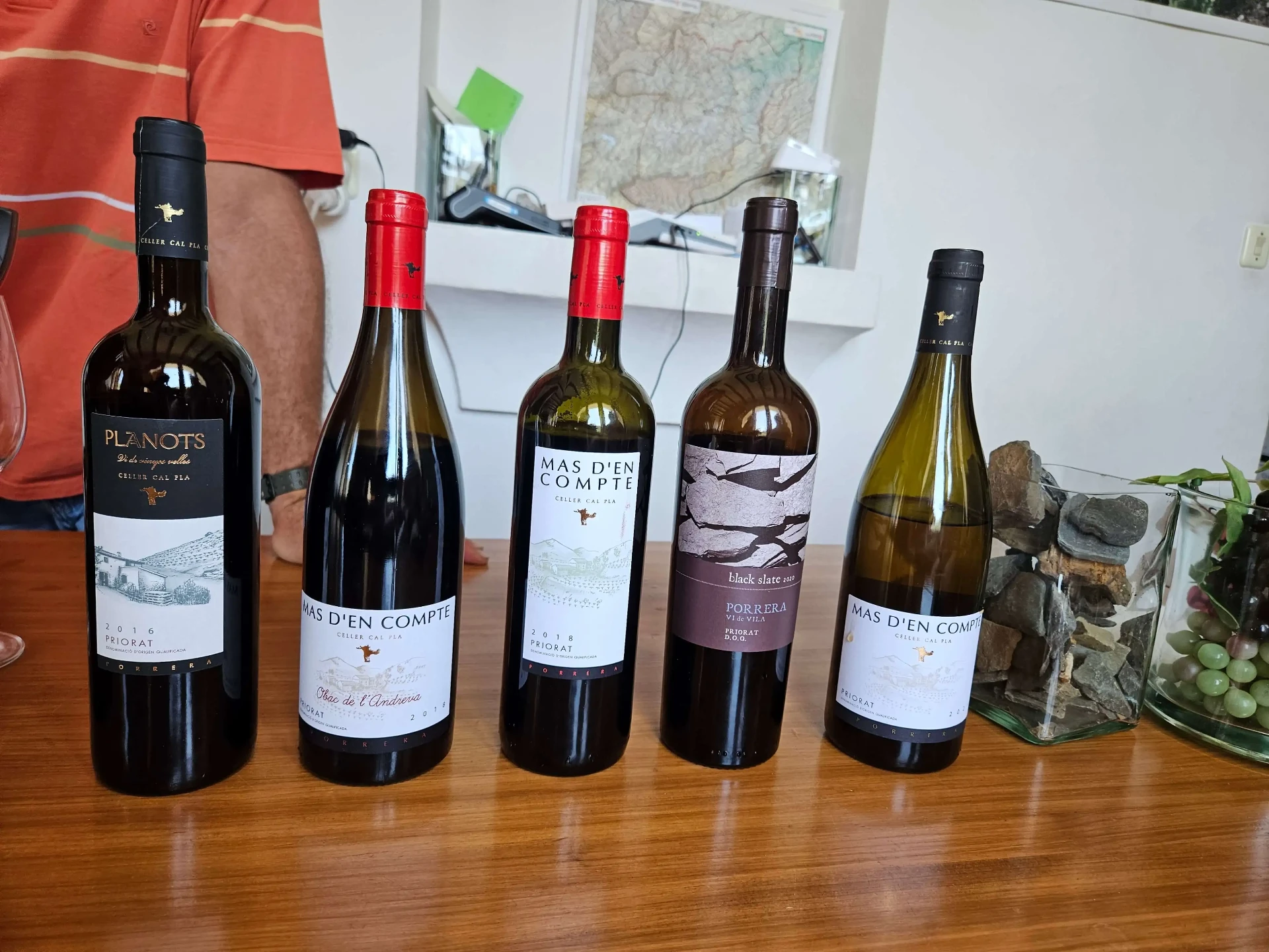 Line-up of Cal Pla Priorat wines on a tasting table