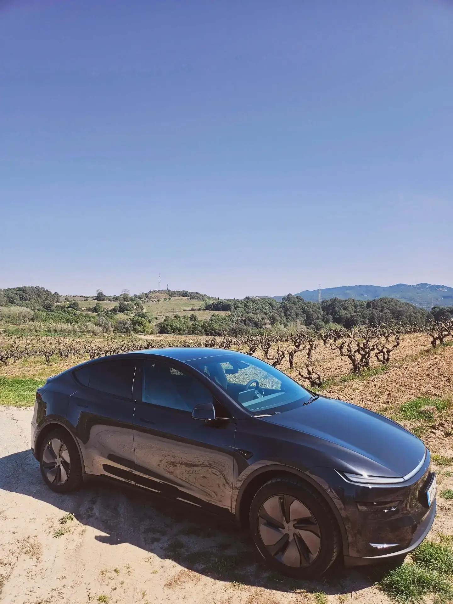 Curated private wine tour from Barcelona through small family wineries in Penedès and Priorat