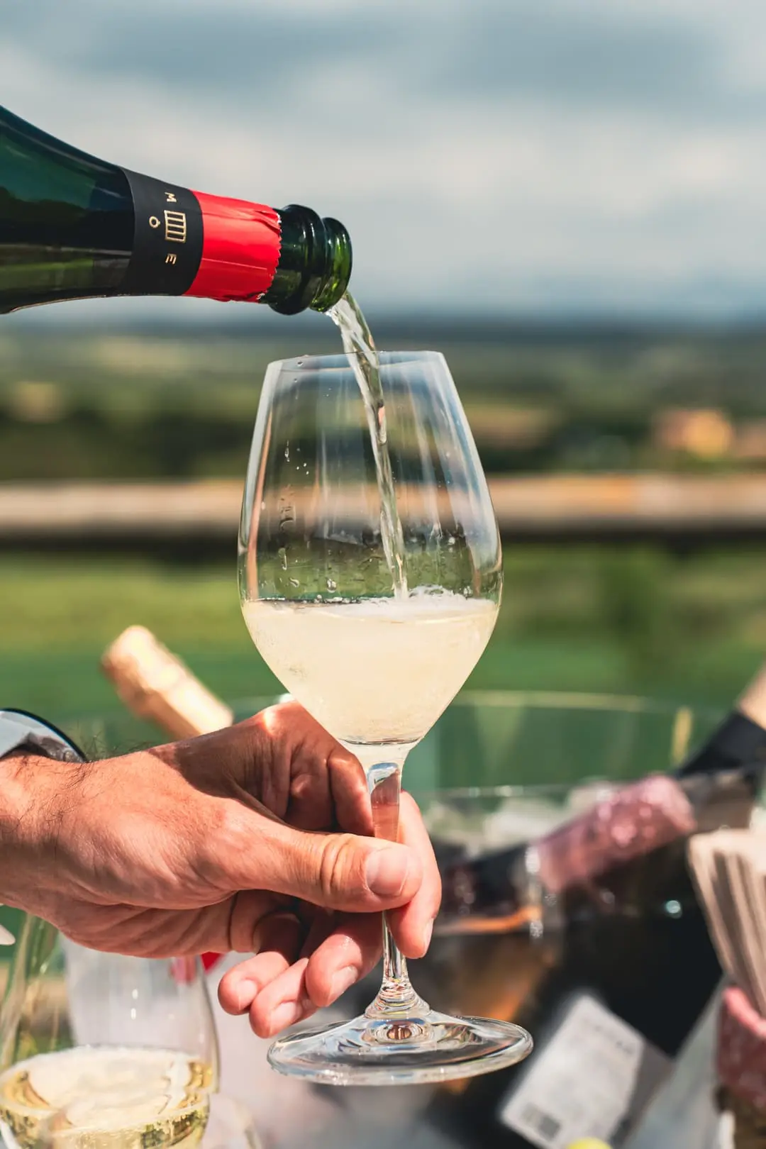 Premium cava pour at a Penedès winery — private wine tour from Barcelona
