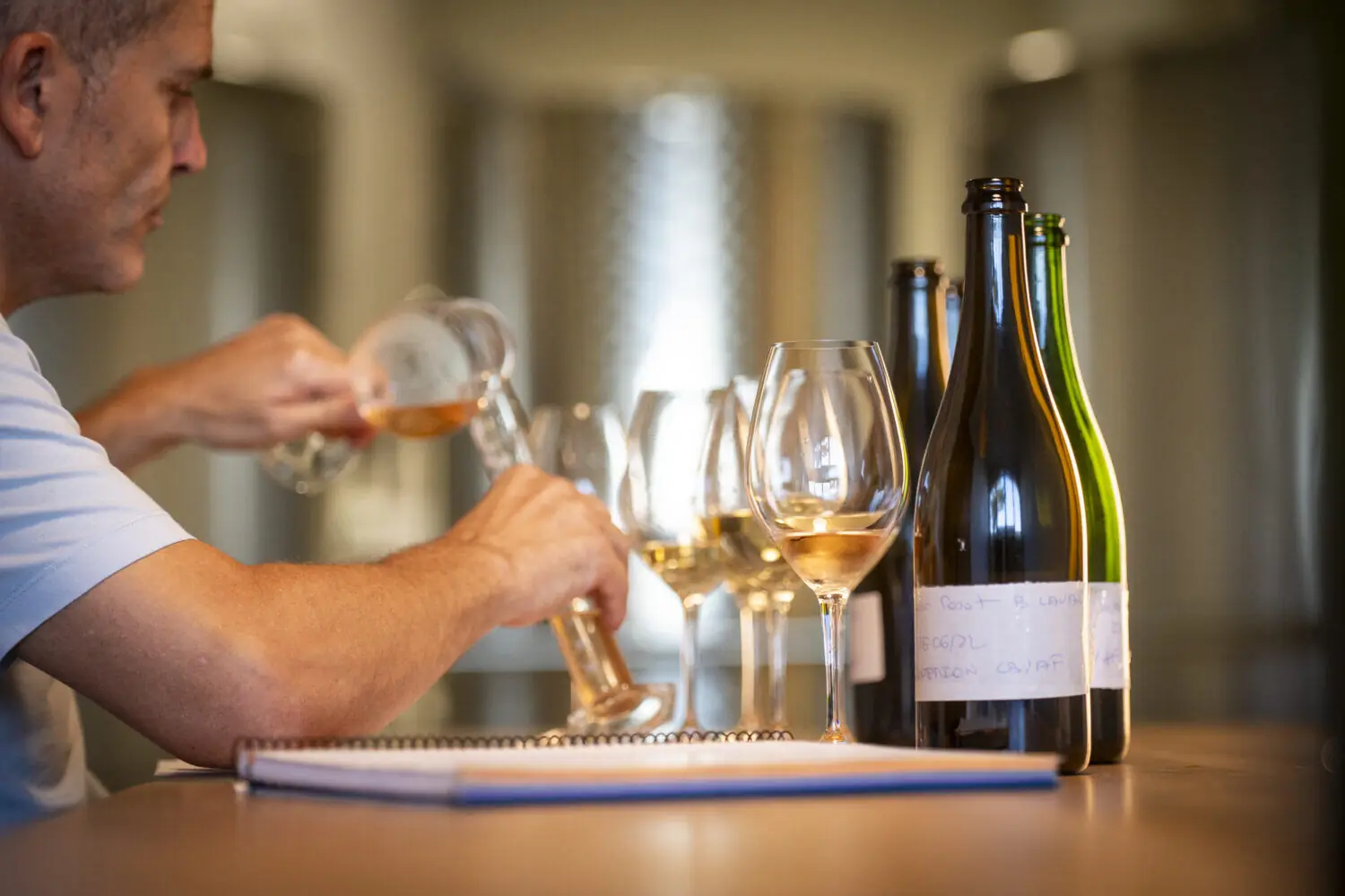 Best Cava and Wine Tastings in Barcelona